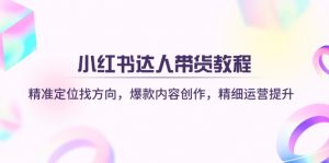 小红书达人带货教程：精准定位找方向，爆款内容创作，精细运营提升-数智网创