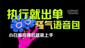 爆火全网的开车导航骚气语音包,只要执行就出单，小白看完课程就能实操...-数智网创