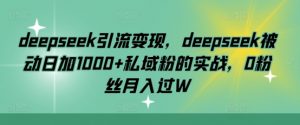 deepseek引流变现，deepseek被动日加1000+私域粉的实战，0粉丝月入过W-数智网创