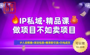 2025年“IP私域·密训精品课”,日赚3000+小白避坑年赚百万,暴力引流...-数智网创