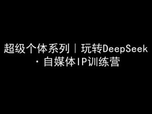 超级个体系列，玩转DeepSeek·自媒体IP训练营，deepseek教程-数智网创