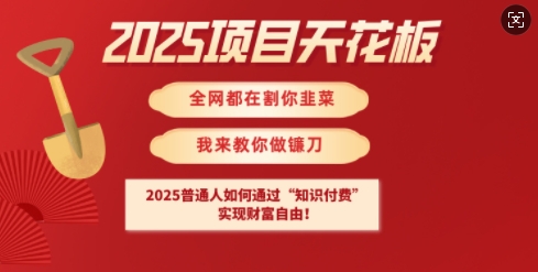2025项目天花板普通人如何通过知识付费,实现财F自由【揭秘】-数智网创
