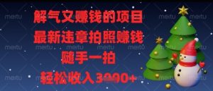 解气又挣钱的项目，最新违章拍照挣钱，随手一拍，轻松收入多张【揭秘】-数智网创