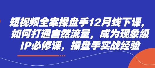 短视频全案操盘手12月线下课,如何打通自然流量,成为现象级IP必修课,操盘手实战经验-数智网创