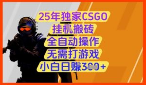25年独家CSGO挂G搬砖，全自动操作，无需打游戏，小白日入3张+【揭秘】-数智网创