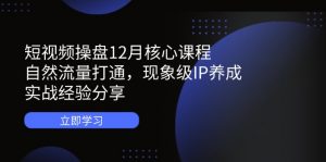 短视频操盘12月核心课程：自然流量打通，现象级IP养成，实战经验分享-数智网创