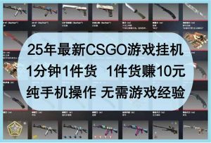25年最新CSGO游戏挂机，1分钟1件货，1件货赚10元 纯手机操作 无需游戏经验-数智网创