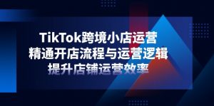 TikTok跨境小店运营，精通开店流程与运营逻辑，提升店铺运营效率-数智网创