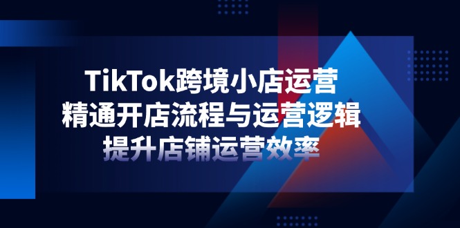TikTok跨境小店运营，精通开店流程与运营逻辑，提升店铺运营效率-数智网创