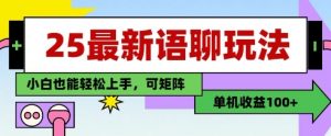 25年最新语聊玩法，纯手工，单机收益100+，小白也能轻松上手，可矩阵操作-数智网创