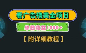 Google谷歌看广告撸美金,3分钟到账2.5美元,自撸拉新收益无上限,轻松日入1k+-数智网创