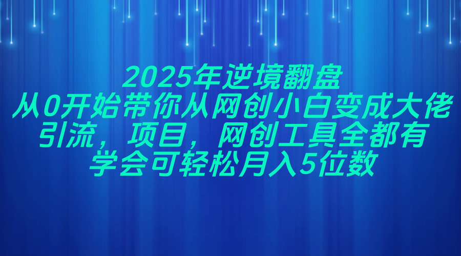 2025年逆境翻盘，从0开始带你从网创小白变成大佬，引流，项目，网创工…-数智网创