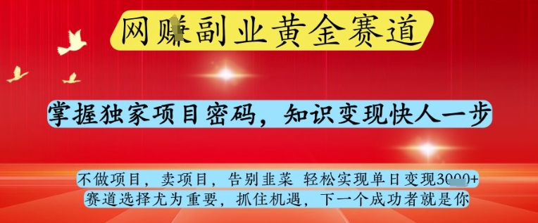 网创副业黄全赛道，掌握独家项目密码，知识变现快人一步，告别韭菜轻松实现单日变现1k+【揭秘】-数智网创