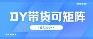 DY带货，日入300＋矩阵无上限-数智网创