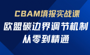 欧盟CBAM填报实战从零到精通-数智网创