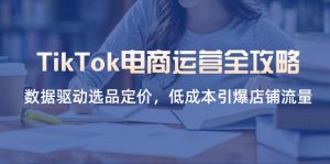 TikTok电商运营全攻略，数据驱动选品定价，低成本引爆店铺流量-数智网创
