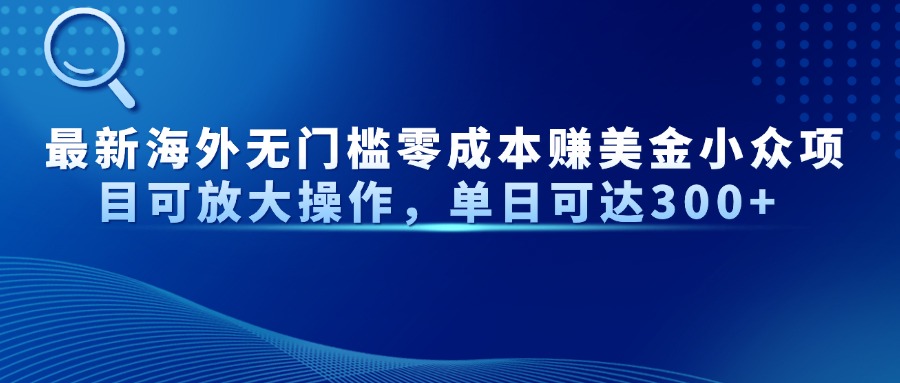最新海外无门槛零成本赚美金小众项目可放大操作，单日可达300+-数智网创