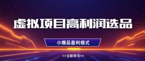 虚拟项目高利润选品方法,做好单店利润1W+,可多店倍增利润-数智网创