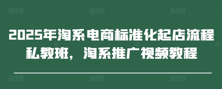 2025年淘系电商标准化起店流程私教班，淘系推广视频教程-数智网创