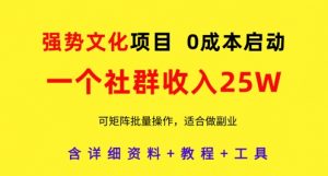 强势文化项目，一个社群收入25个W，0成本启动，可矩阵批量操作，原创详细实操教程-数智网创