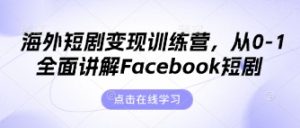 海外短剧变现训练营，从0-1全面讲解Facebook短剧-数智网创