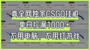 真全网独家CSGO挂G，单日捡漏1k+【揭秘】-数智网创