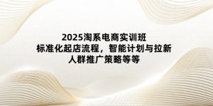 2025淘系电商实训班:标准化起店流程,智能计划与拉新,人群推广策略等等-数智网创