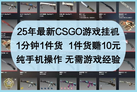 25年最新CSGO游戏挂G,1分钟1件货,1件货挣10元,纯手机操作,无需游戏经验【揭秘】-数智网创