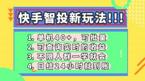 快手智投新玩法，单机日入40+，可批量，可查询实时收益，收益日结24小...-数智网创