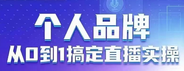 个人品牌:从0到1搞定直播实操,用直播为你的个人品牌赋能,六大实操板块,放大个人影响力-数智网创