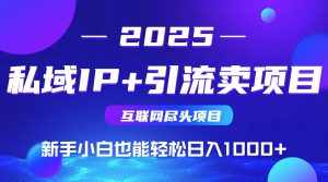 私域IP+卖项目，普通人小白也能轻松实现日入1000+-数智网创