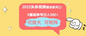 2025头条视频掘金新风口：0基础日入300+，可放大，可矩阵-数智网创