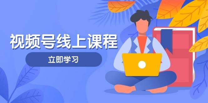 视频号实战课程,轻IP打造与运营技巧,掌握核心方法与策略-数智网创