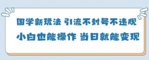 国学新玩法，引流不封号不违规小白也能操作，当日就能变现-数智网创