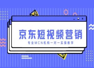 京东短视频营销项目,专业MCN机构一对一实操教学-数智网创