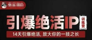 引爆绝活IP训练营，14天引爆绝活，放大你的一技之长-数智网创