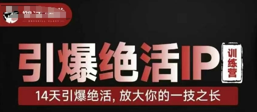 引爆绝活IP训练营，14天引爆绝活，放大你的一技之长-数智网创