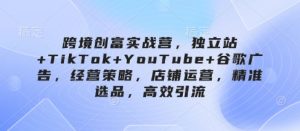 跨境创富实战营,独立站+TikTok+YouTube+谷歌广告,经营策略,店铺运营,精准选品,高效引流-数智网创