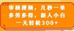 视频审核员，几秒一单，不限时间，不限地点，多做多得，新人小白一天轻松几张+【揭秘】-数智网创
