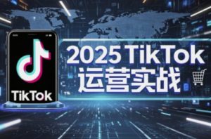 2025TikTok电商运营，掌握TikTok店铺运营核心技巧，实现低成本高转化-数智网创
