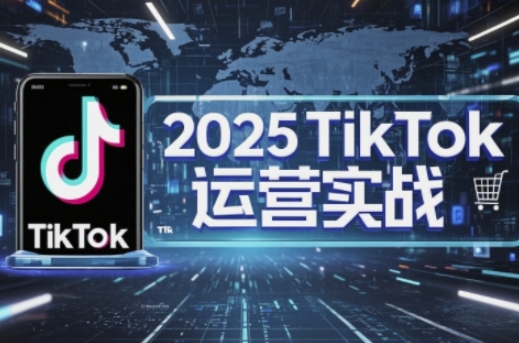 2025TikTok电商运营，掌握TikTok店铺运营核心技巧，实现低成本高转化-数智网创