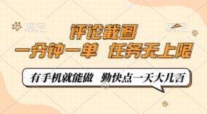 评论截图，0.5元一单，一分钟一单，有手机就能做，任务无上限，勤快点一天几张【揭秘】-数智网创