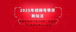 2025年视频号带货新玩法：AI炮制百分百原创爆款，稳起号，T+1结算实现月入过万-数智网创