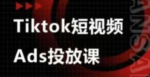 Ads视频投放课,tiktok短视频广告投放课-数智网创