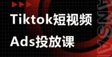 Ads视频投放课,tiktok短视频广告投放课-数智网创