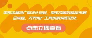 淘系运营推广标准化流程，​淘系改版后新品布局全流程，无界推广工具拆解高阶玩法-数智网创