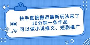 快手直接搬运最新玩法来了，10分钟一条作品，可以做小说推文、短剧推广...-数智网创