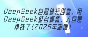 DeepSeek自媒体轻创业，用DeepSeek做自媒体，太容易挣钱了(2025年新课)-数智网创