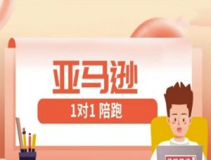 亚马逊1对1陪跑课(FBA/FBM精铺)跨境亚马逊教程-数智网创
