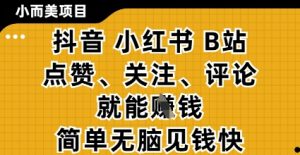 小而美的项目，抖音小红书B站视频点赞、关注、评论就能挣钱，简单无脑立见收益，妥妥的零撸项目【揭秘】-数智网创